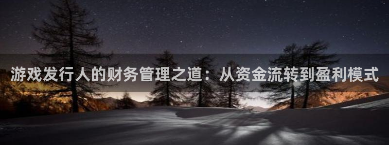 新宝GG官网客服电话是多少：游戏发行人的财务管理之道：从资金流转到盈利模式