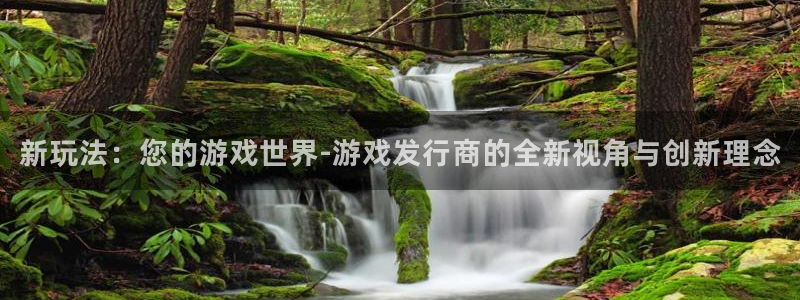 新宝GG官网官网注册账号怎么注册：新玩法：您的游戏世界-游戏发行商的全新视角与创新理念