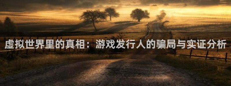 新宝GG官网注册平台登录：虚拟世界里的真相：游戏发行人的骗局与实证分析