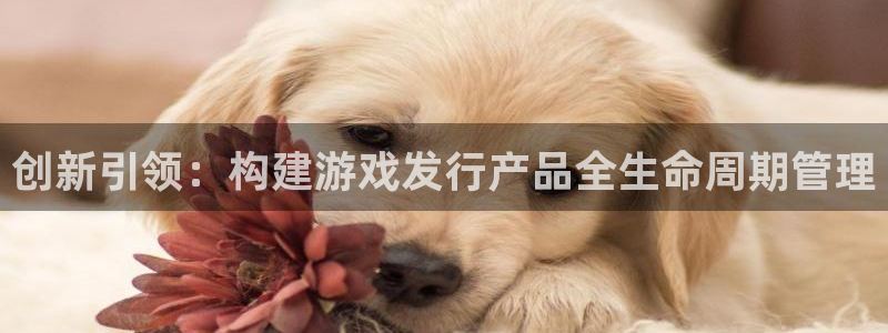 新宝GG电子商务有限公司