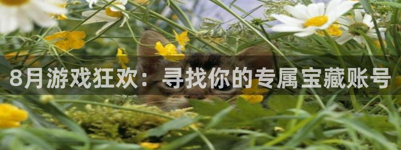 新宝GG官网注册登录：8月游戏狂欢：寻找你的专属宝藏账号