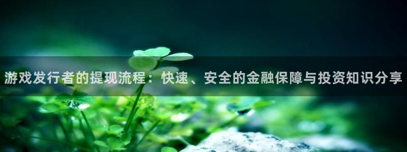 广州新宝GG网络科技有限公司：游戏发行者的提现流程：快速、安全的金融保障与投资知识分享