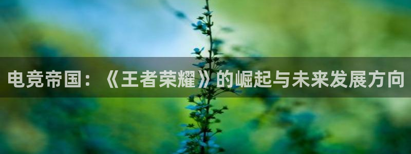 新宝GG运动装有哪些品牌：电竞帝国：《王者荣耀》的崛起与未来发展方向