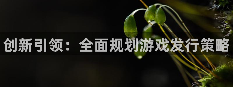 新宝GG官网的奇趣腾讯是真的吗知乎：创新引领：全面规划游戏发行策略