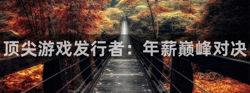 新宝GG官网注册平台怎么样啊：顶尖游戏发行者：年薪巅峰对决