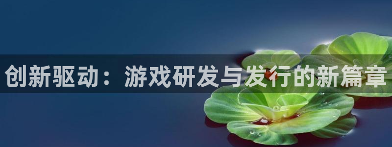 新宝GG集团有限公司