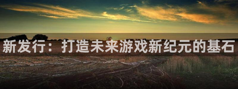 新宝GG官网注册平台：新发行：打造未来游戏新纪元的基石