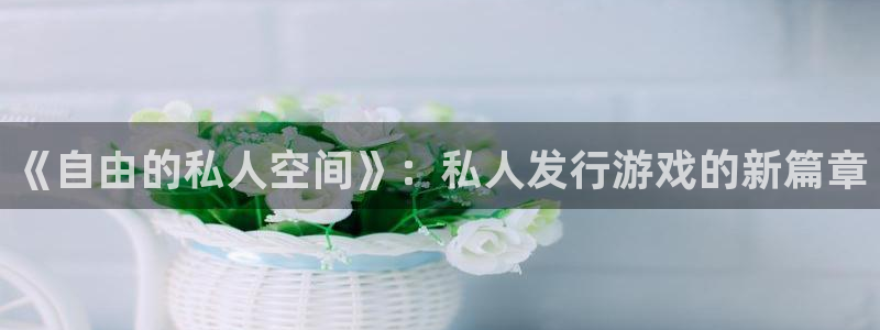 四川新宝GG科技有限公司：《自由的私人空间》：私人发行游戏的新篇章