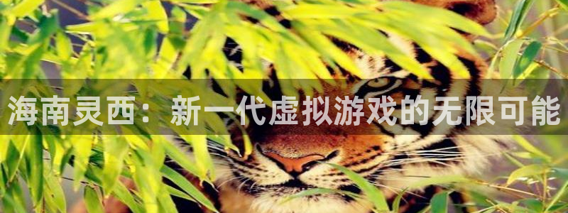 新宝GG子文化是什么：海南灵西：新一代虚拟游戏的无限可能