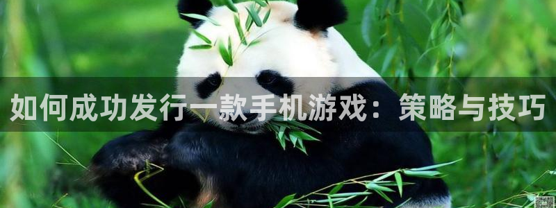 新宝GG电子商务有限公司怎么样知乎：如何成功发行一款手机游戏：策略与技巧