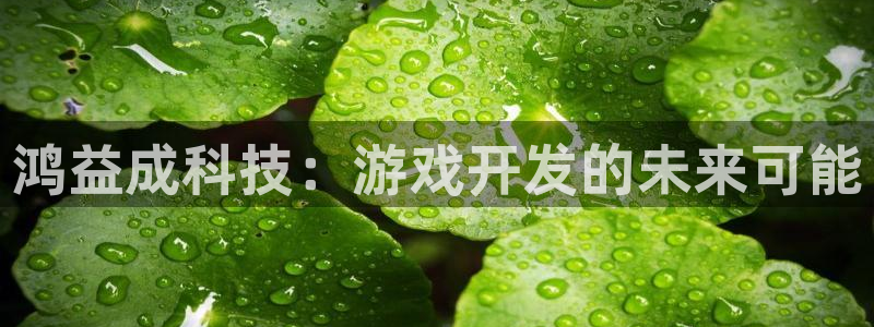 新宝GG官网客服招聘：鸿益成科技：游戏开发的未来可能