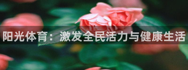 k1体育十年品牌