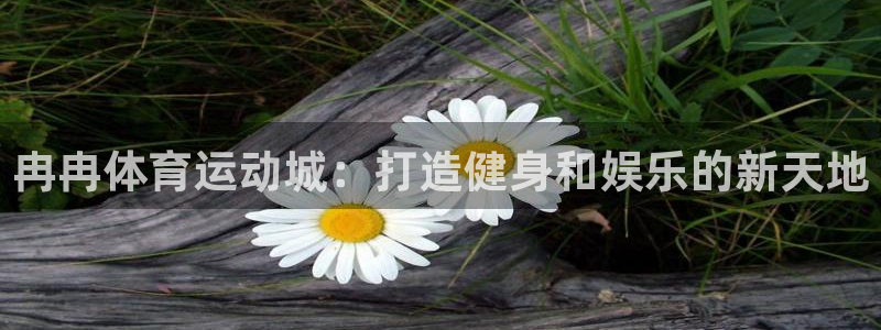 k1体育棋牌