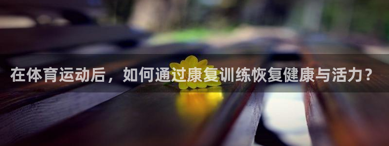 k1体育app下载
