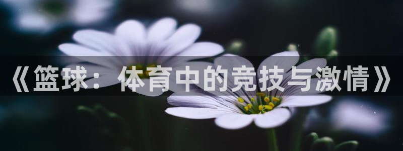 k1体育app