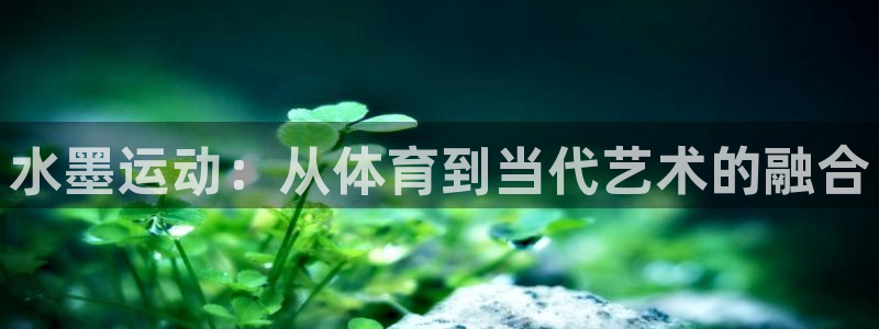 k1体育娱乐