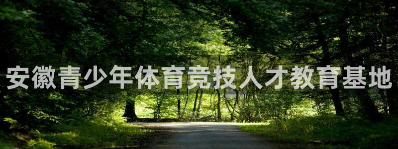 k1体育网站登录官网