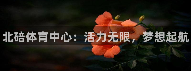 k1体育app官网登录入口