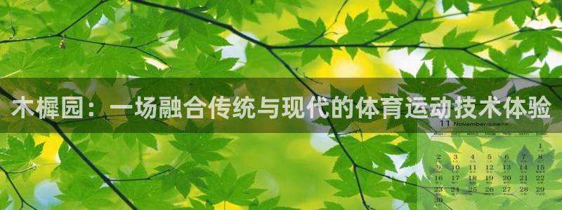 k1体育网址是多少